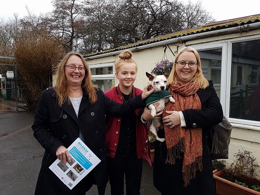 A re-homed Hilbrae dog with family